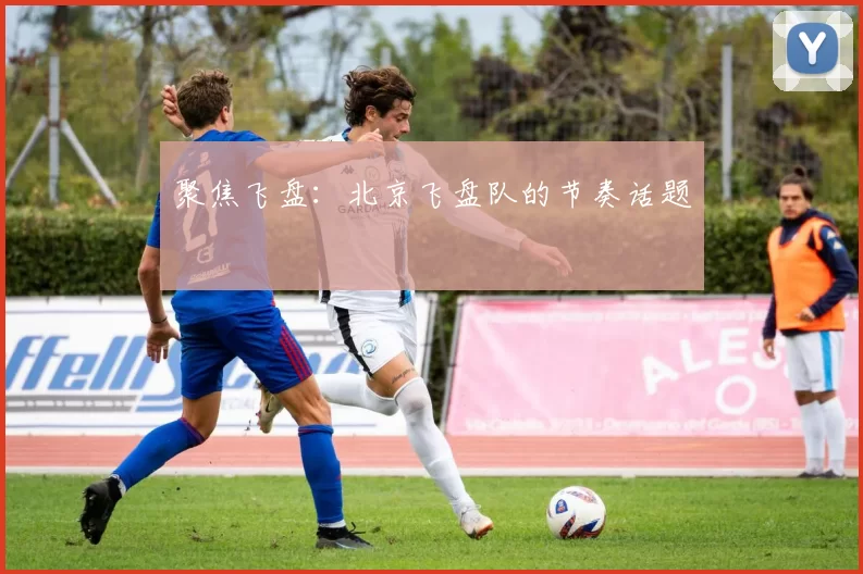 聚焦飞盘：北京飞盘队的节奏话题