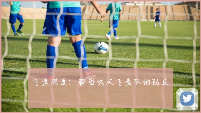 飞盘深度：解密武汉飞盘队的防反