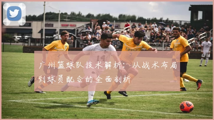 广州篮球队技术解析：从战术布局到球员配合的全面剖析