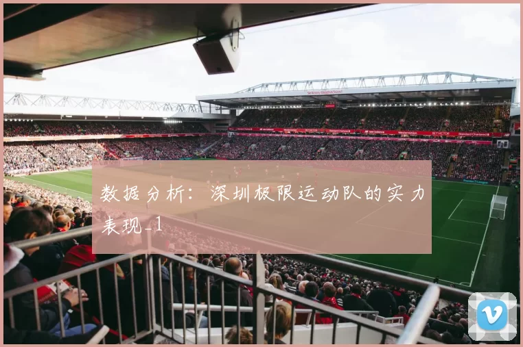 数据分析：深圳极限运动队的实力表现_1