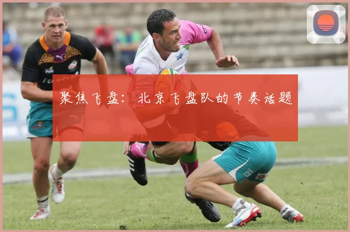 聚焦飞盘：北京飞盘队的节奏话题